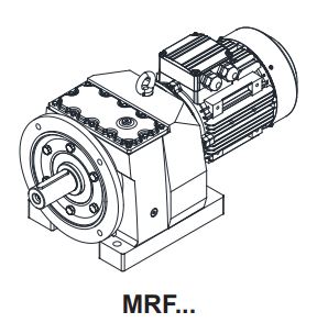 MRF Serisi Ayaklı Çıkış flanşlı Motorlu Redüktör Grubu